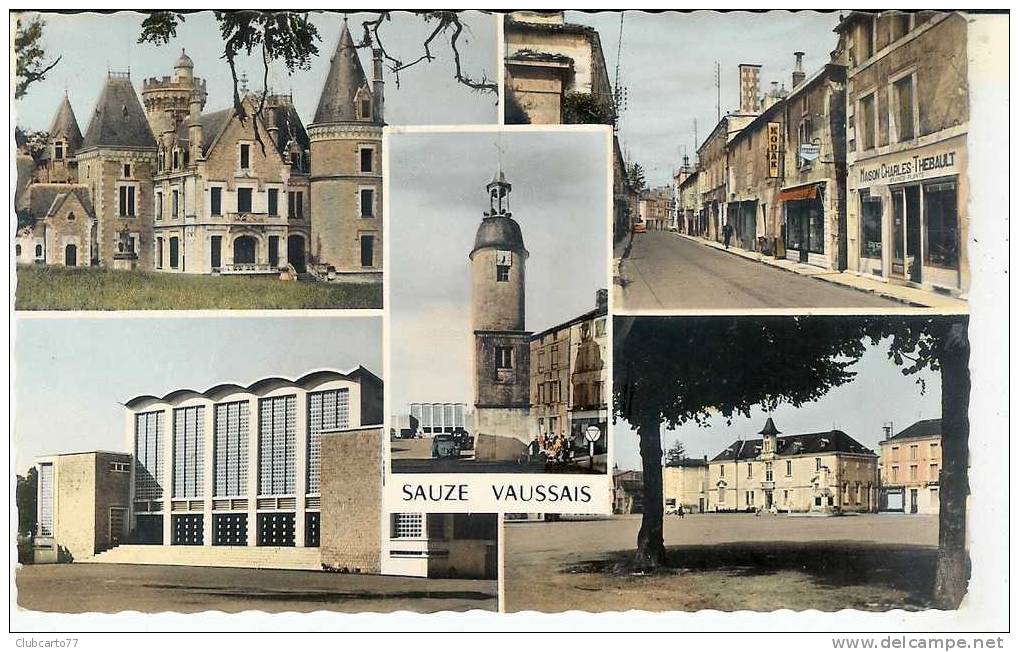 Sauze-Vaussais (79) : 5 Vue Dont Grande Rue Avec Magasin De Charles Thebault Plants Et Graines En 1964 (animé). - Sauze Vaussais