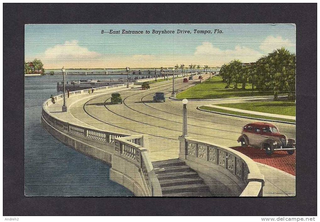 TAMPA FLORIDA  -  EAST ENTRANCE TO BAYSHORE DRIVE -   ANIMATED - OLD CARS - Tampa