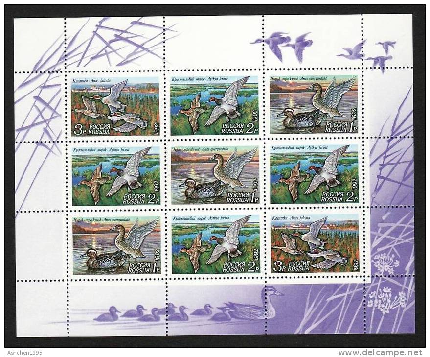 Russia 1992, Mi 254-256, Ducks - Birds, Mini Sheet - MNH ** - Volledige Vellen