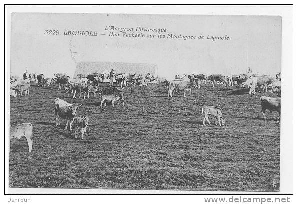 12 // LAGUIOLE, Une Vacherie Sur Les Montagnes, N° 3229 - Laguiole