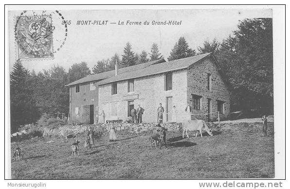 42 )) MONT PILAT, Ferme Du Grand Hotel, ANIMEE, N° 355 - Mont Pilat