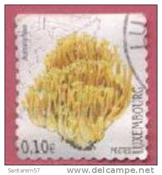 Timbre Oblitéré Used Stamp Ramaria Flava LUXEMBOURG 0,10€ - Altri & Non Classificati