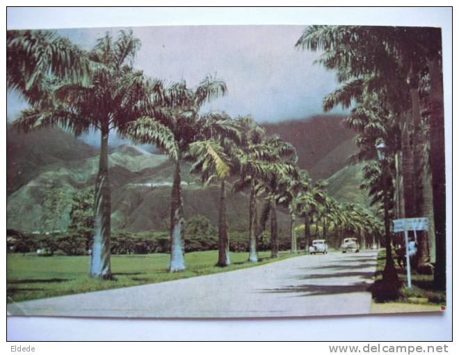 Caracas Country Club Golf  Circulada  Voyagé Recommendé Caracas  Avion 1953 - Venezuela