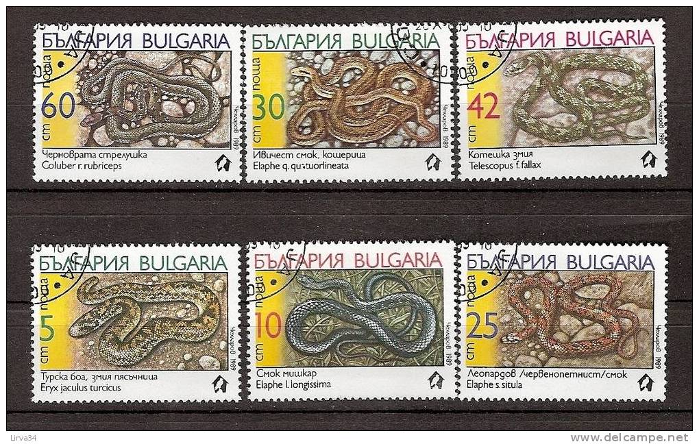 SERIE OBLITÉRÉE- BULGARIE - THEME : SERPENTS VENIMEUX- - Serpientes