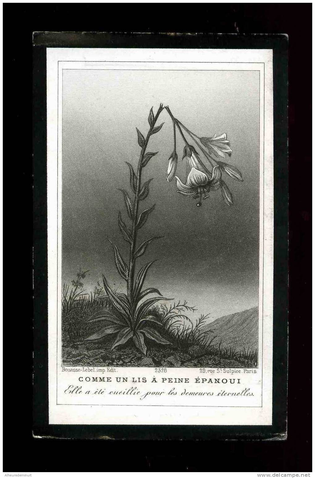 Image Pieuse Mortuaire"COMME UN LYS A PEINE EPANOUI"B.A.LITTINGER"17/11/1900 à NANCY"ELLE A ETE CUEILLIE POUR"FAIRE-PART - Other & Unclassified