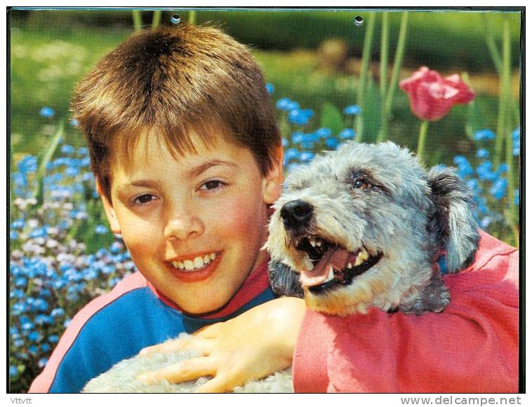 Calendrier 1995 : "Les Orphelins Apprentis D'Auteuil", 24 Pages, Papier Glacé, (22 Cm Sur 28,5 Cm) TBE - Big : 1991-00