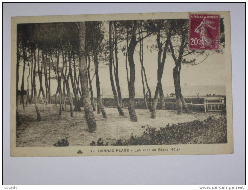 Lot463 -1- Carte Postale Sur Carnac Plage Les Pins Au Grand Hotel - Carnac