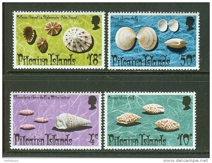 Pitcairn Islands    Shells   Set   SC# 137-40 MNH** - Conchas