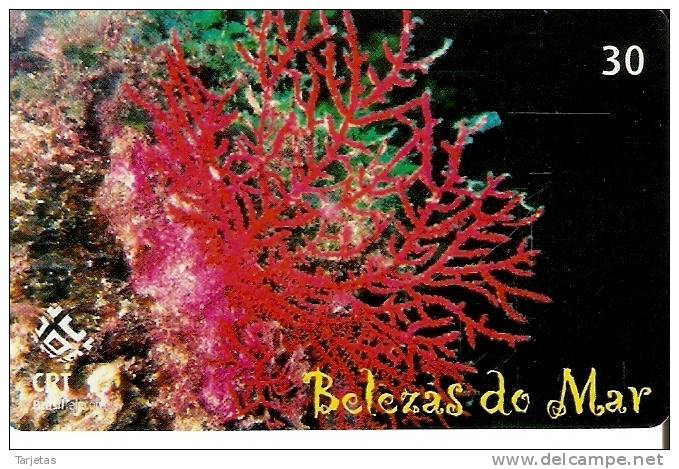 TARJETA DE BRASIL DE BELLEZAS DEL MAR  (5-10)  (FISH-PEZ) - Peces