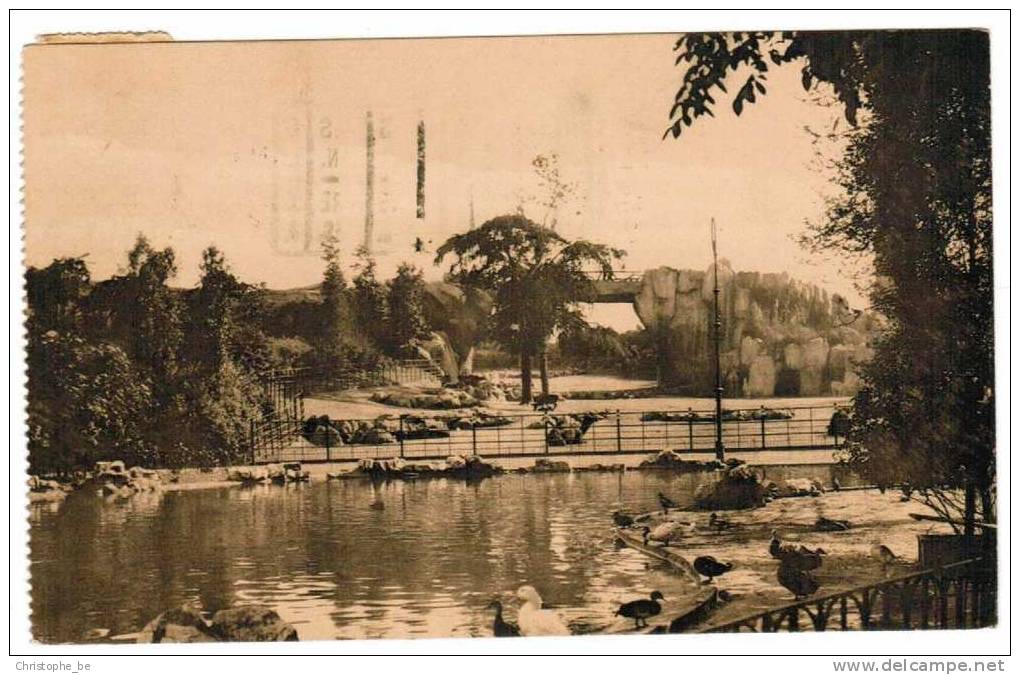 Oude Postkaart Antwerpen Anvers Dierentuin Jardi Zoologique (pk724) - Antwerpen