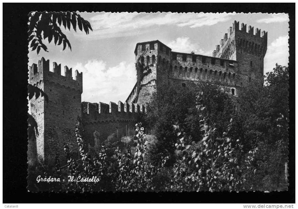 V0144 CARTOLINA ILLUSTRATA MARCHE PESARO URBINO GRADARA CASTELLO  FG. NV. - Urbino