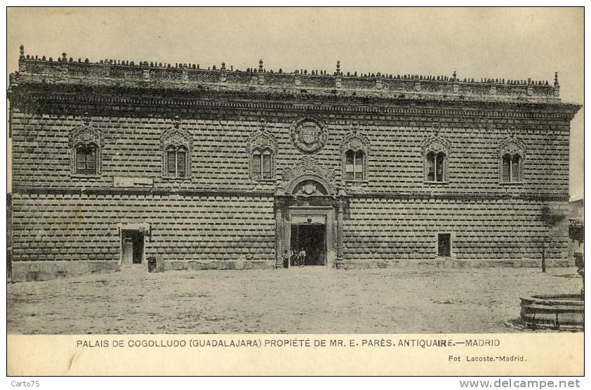 Espagne - Madrid - Palais De Cogolludo Guadalajara - Antiquaire - Architecture Insolite - Guadalajara