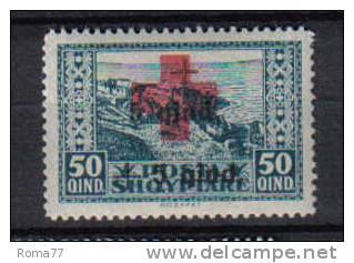 SS970 - ALBANIA , Croce Rossa Yvert  N.  143  *** - Albania