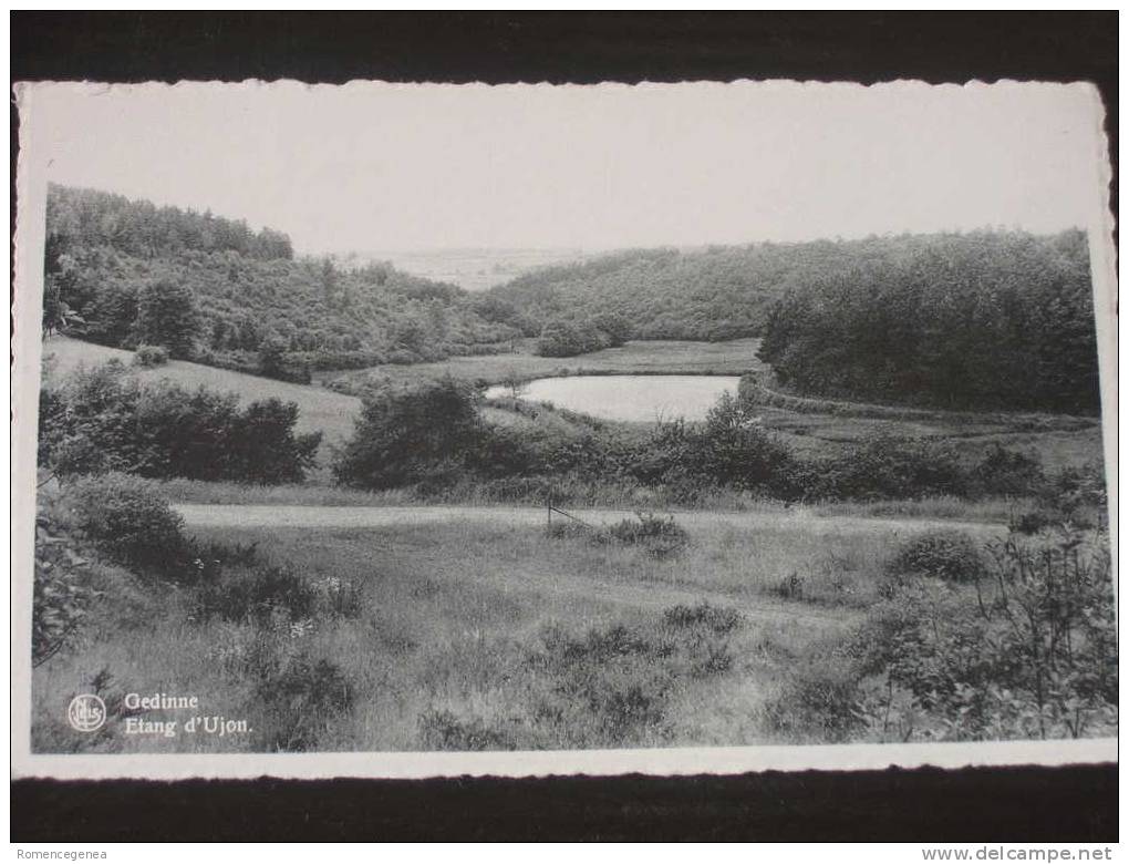 GEDINNE - Etang D´Ujon - Non Voyagée - Gedinne