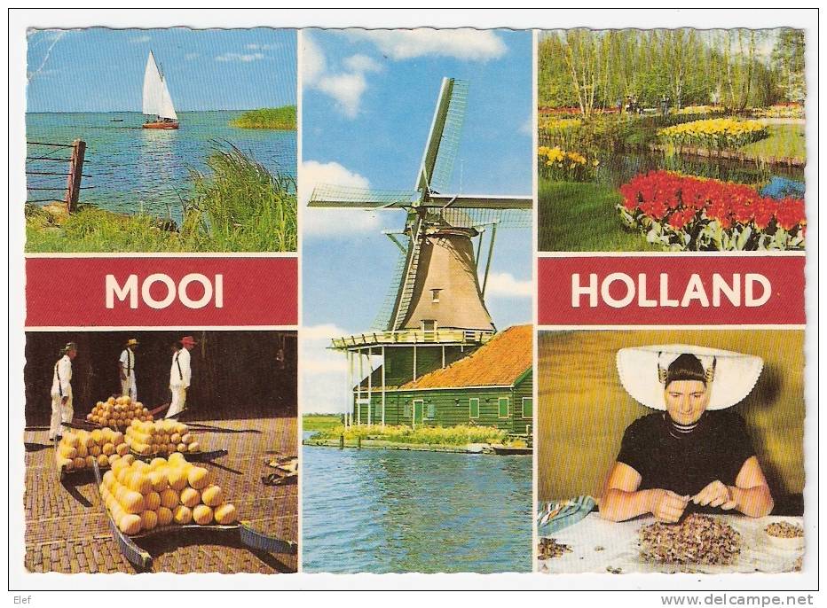 MOOI , Holland ; Multivues: Fromage, Moulin, Tulipe, Nettoyage De Champignons ; Postée De SLUIS ( Zeeland ), 1965 ;B/ TB - Sluis