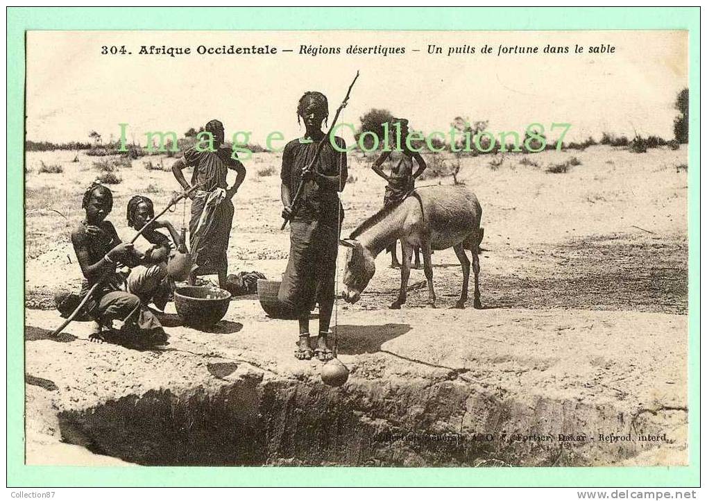 COLLECTION FORTIER 304 - AFRIQUE OCCIDENTALE - PUITS De FORTUNE - EAU - ANE - FILLETTE - FEMME NUE - NUDE - NU - Mali