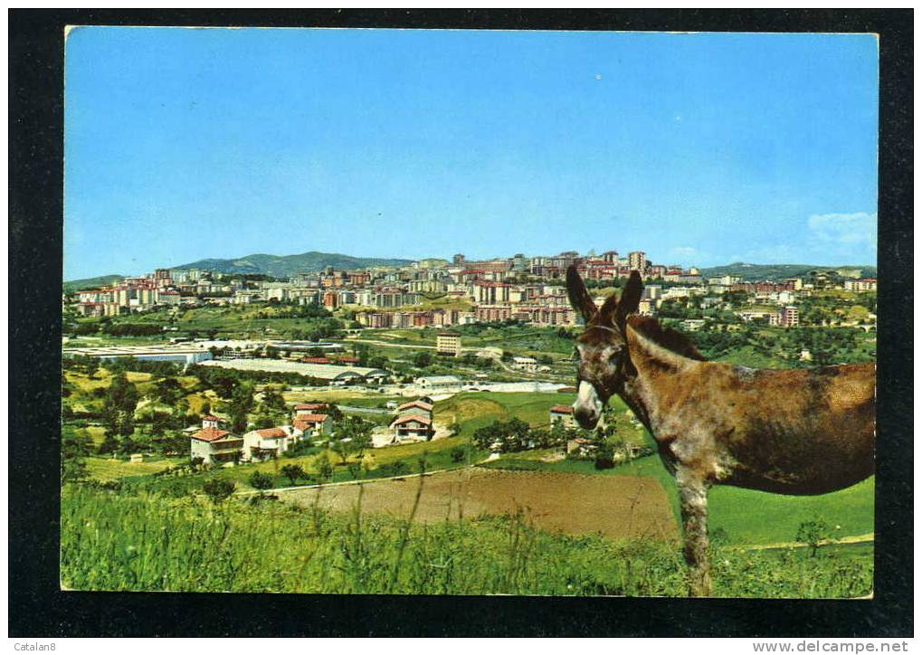 V0173 CARTOLINA ILLUSTRATA BASILICATA POTENZA PANORAMA  FG. V. - Potenza