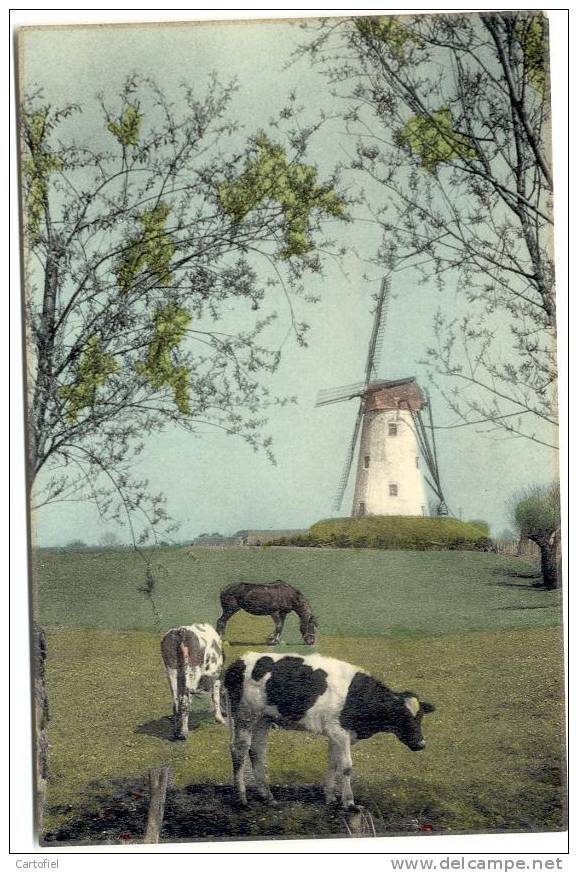 DAMME- DE MOLEN- LE MOULIN - Damme