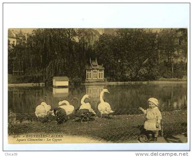 005884  -  Laeken  -  Square Clémentine  -  Les Cygnes - Laeken