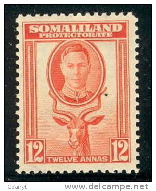 Somaliland Protectorate Scott #  96 - 103 Mint Very Lightly Hinged  VF Short Set...................................C26 - Somaliland (Protectoraat ...-1959)