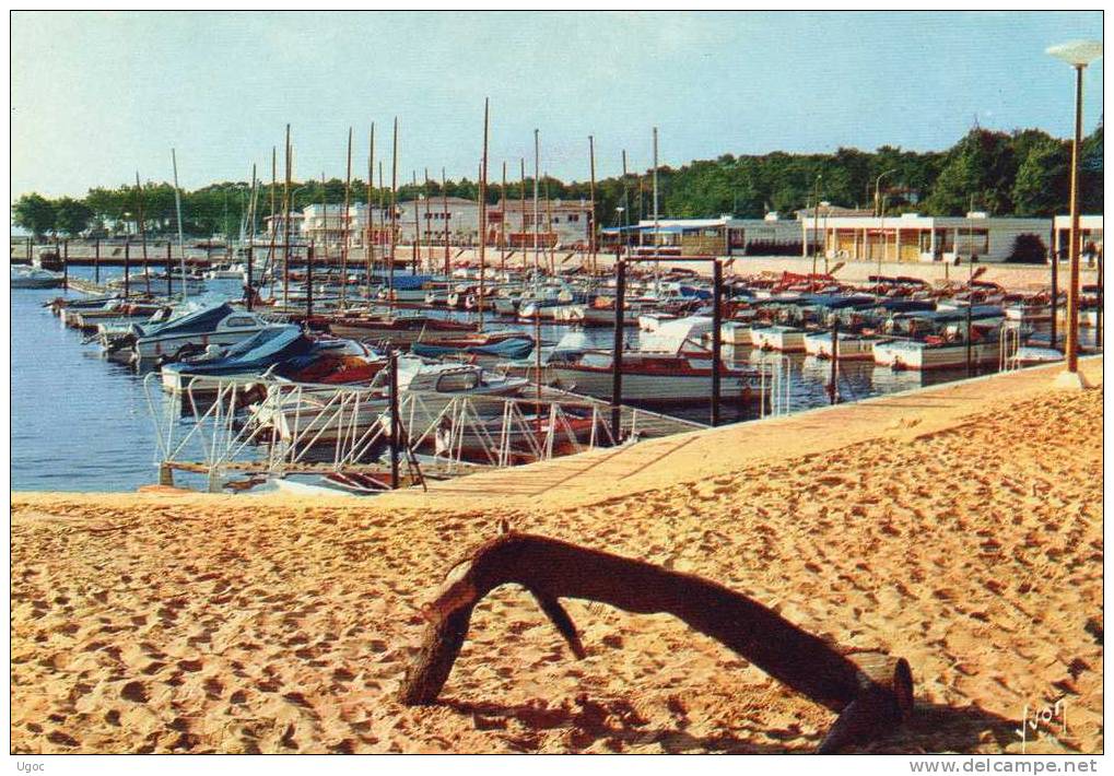 CPSM-33-GIRONDE- BASSIN D´ARCACHON-Port De La Vigne-  244/3 - Autres & Non Classés