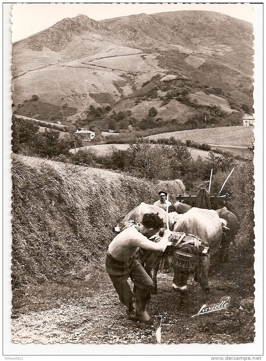 Près De MAULEON LICHARRE  ( ? )  -   ** ATTELAGE EN PAYS BASQUE **   -    Editeur :L. LAVIELLE De Biarritz   N° G.3000 - Mauleon Licharre