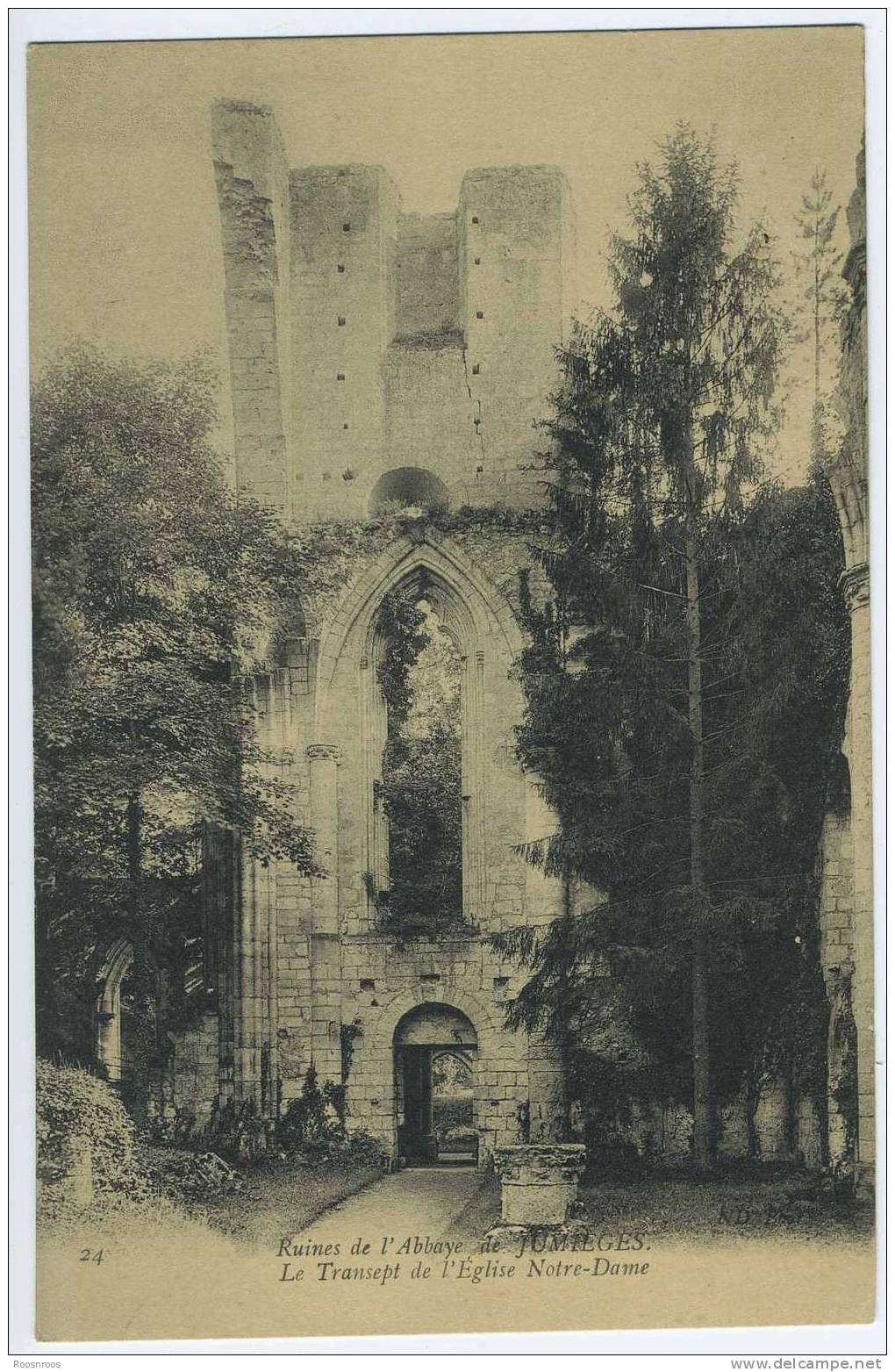 CP JUMIEGES 76 SEINE MARITIME RUINES ABBAYE TRANSEPT NOTRE DAME - Jumieges