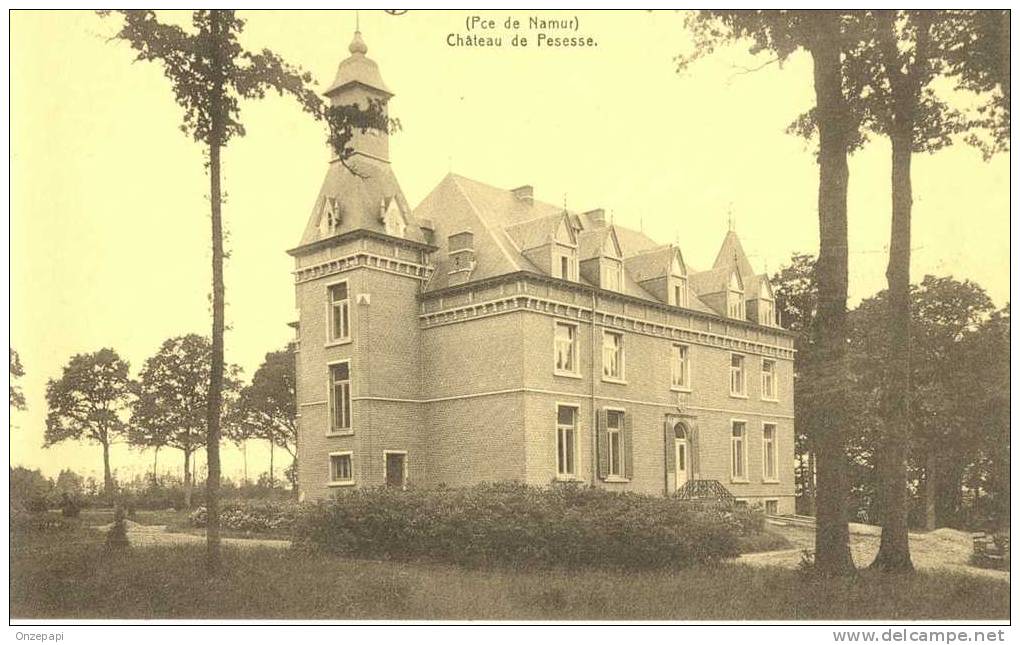 PESSOUX - Château De Pesesse - Ciney