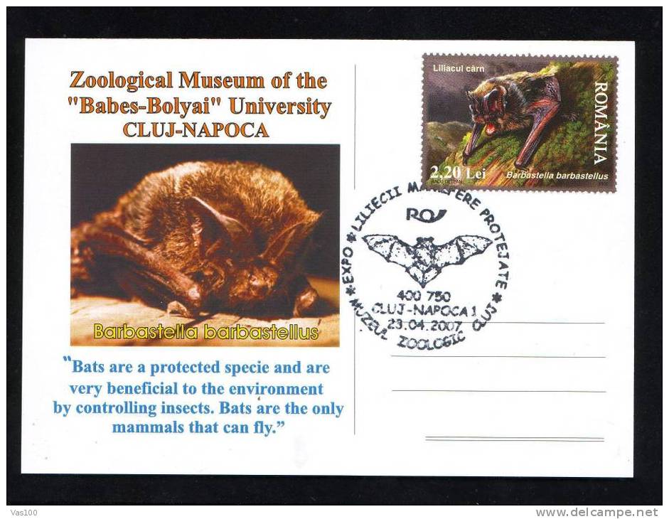 Postcard + Oblitération Concordante - Bats + Bats Special Cancel On Card 2007 Romania.(B) - Chauve-souris