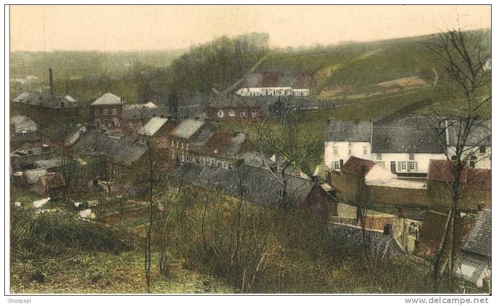 WASMES - Panorama De La Rue Du Bois - Colfontaine