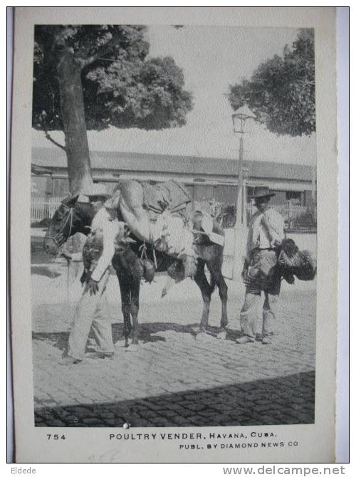 Havana La Habana  Poultry Dealer Vendedor De Pollos A Caballo - Cuba