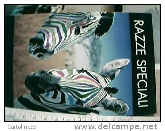 ZEBRA COLORATA RAZZE SPECIALI  Promocard  PENNARELLO  OSAMA POSCA N2007 VB1985 BX27597 - Zebras