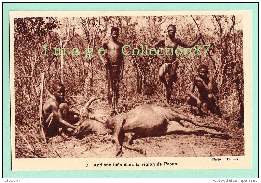 AFRIQUE  FRANCAISE - REPUBLIQUE CENTRAFICAINE - PAOUA - ANTILOPE VICTIME De La CHASSE - CHASSEUR - JEUNE GARCON - Central African Republic