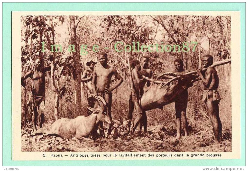 AFRIQUE  FRANCAISE - REPUBLIQUE CENTRAFICAINE - PAOUA - ANTILOPE TUEE - CHASSE - CHASSEUR - JEUNE GARCON NU - Zentralafrik. Republik