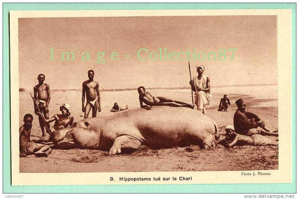 AFRIQUE  FRANCAISE - TCHAD - HIPPOTOTAME TUE Sur Le CHARI - CHASSE - CHASSEUR - JEUNE HOMME NU - Tchad