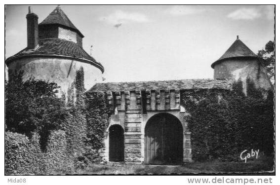 37. REUGNY.   CHATEAU DE LA VALLIERE . RESTE DE LA FORTERESSE PRIMITIVE. - Reugny