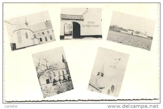 BLICQUY- INSTITUT - LA PORTE OUVERTE- CARTE PHOTO - Leuze-en-Hainaut