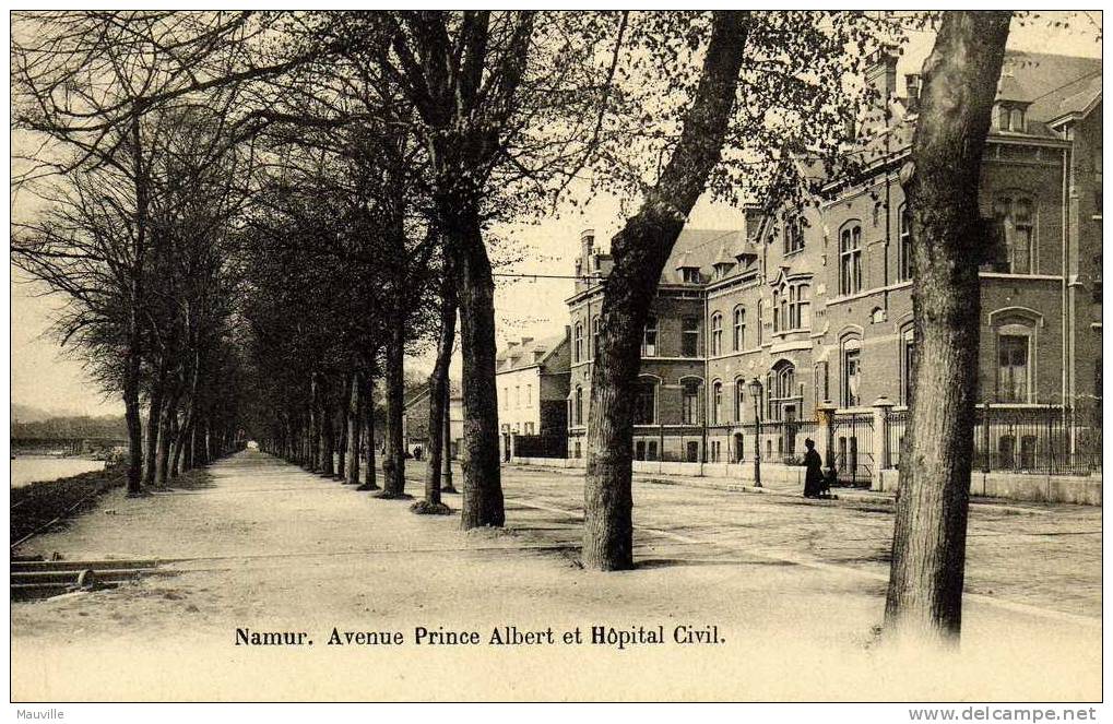 NAMUR, Avenue Prince Albert Et Hôpital Civil. Edit Grands Magasins De La Station, Namur - Namur