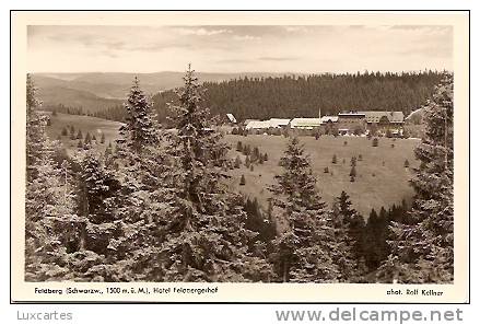 FELDBERG ( SCHWARZW.  1500 M. U. M ). HOTEL FELDBERGERHOF. - Feldberg