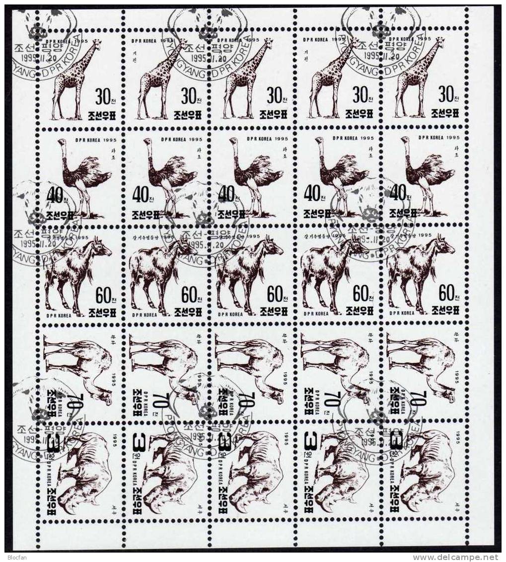 Zoo Mit Fauna Afrikas Korea 3779/3 Im 5-ZD+Kleinbogen O 76€ Nashorn Giraffe Strauß Dromedar M/s Fauna Se-tenant Bf Coree - Giraffen