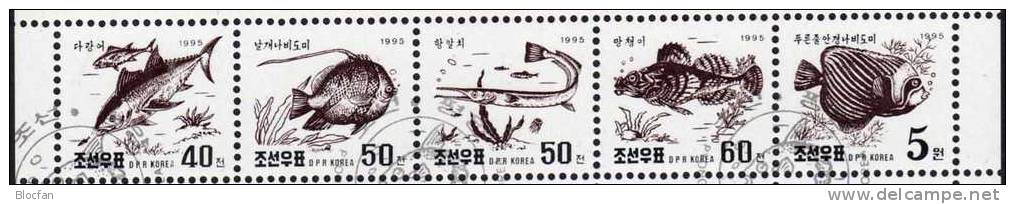 Fische Autos Korea North 3765-93,5ZD+25-bloc O 44€ Tiere Skulptur Architektur 1995 Sheetlet Ss Topic Se-tenants Bf Corea - Natur