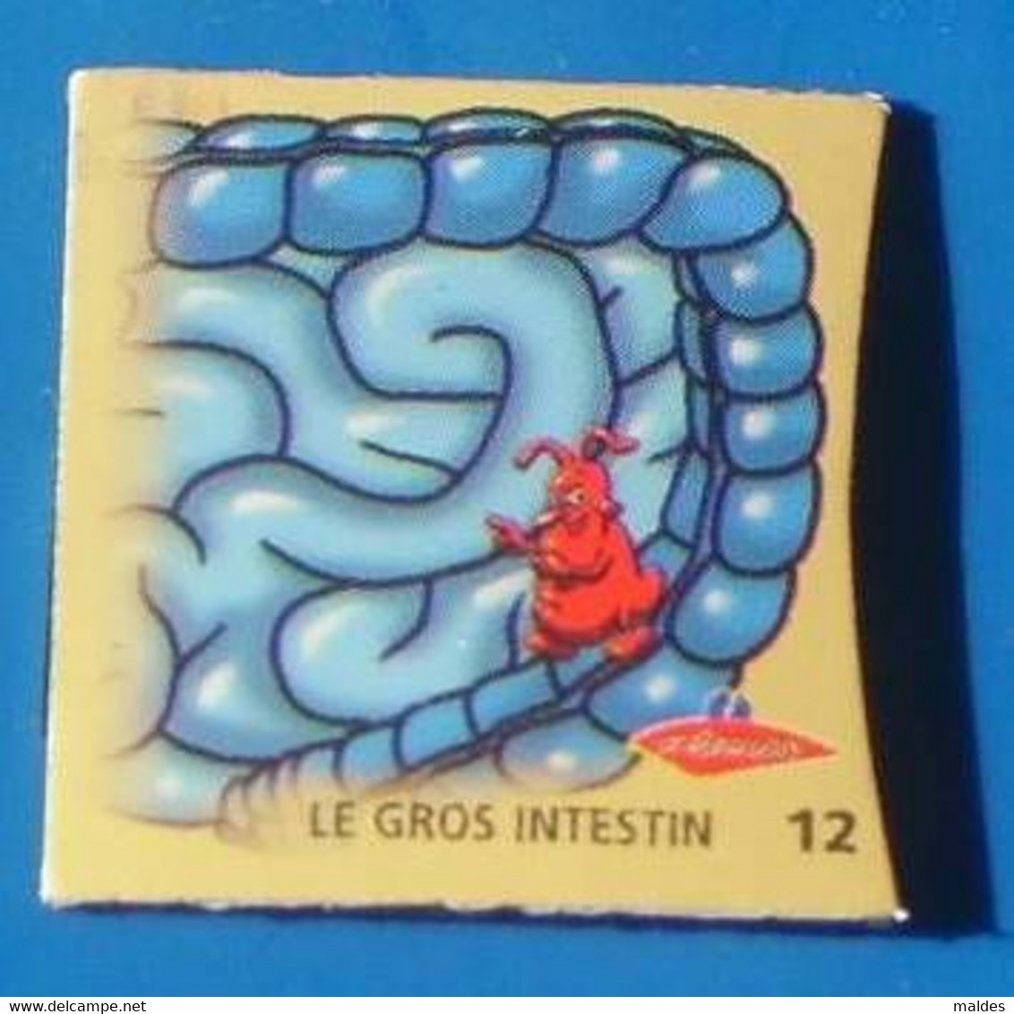 Magnets Le Gaulois Le Corps Humain N° 12 - Personnages