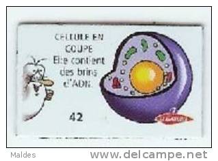 Magnets Le Gaulois Le Corps Humain N° 42 - Personnages