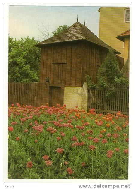 Autriche Eisenstadt Haydn-Museum  Haydns Gartenhaus  Champ De Pavots  TBE - Eisenstadt