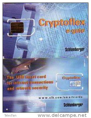 USA CARTE A PUCE GSM DEMONSTRATION INTERNET CRYPTOFLEX E-GATE SCHLUMBERGER RARE NEUVE MINT - Chipkaarten