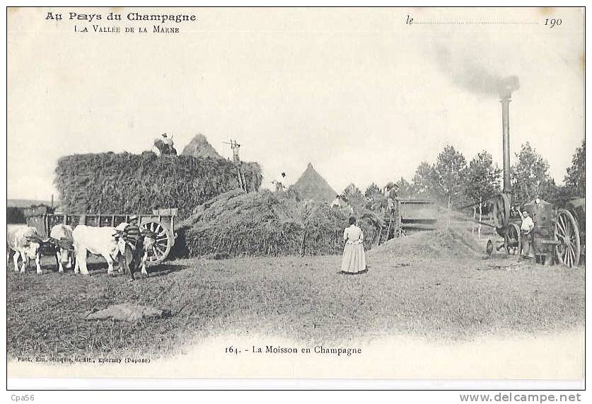 LOT EXCEPTIONNEL > 2 CPA Moisson Champagne, Attelage Boeufs, Ferme De MARDEUIL; Choque Editeur, N°163 +164 - Autres & Non Classés