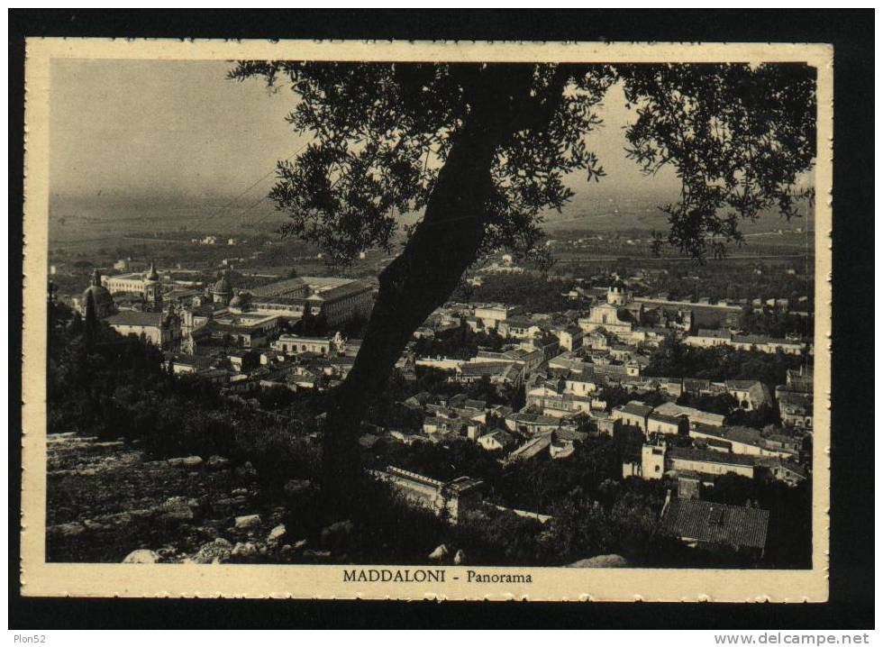 664-MADDALONI(CASERTA)-FG - Caserta