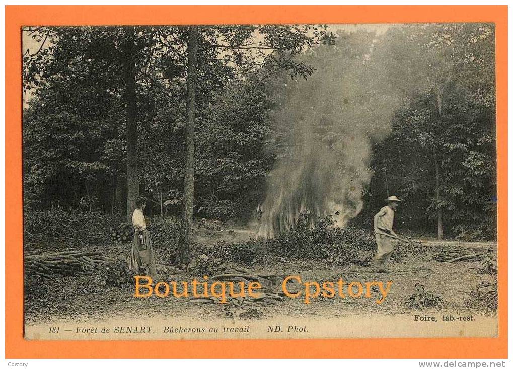 91 - Foret De Senart Aux Environs De Brunoy - Bucheron Au Travail Dans Le Bois - - Sénart