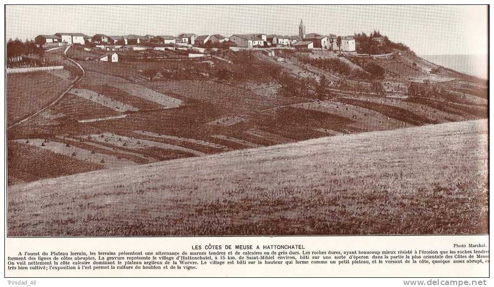 HATTONCHATEL 55  ( RARE PLANCHE PHOTO INEDITE ) - Otros & Sin Clasificación