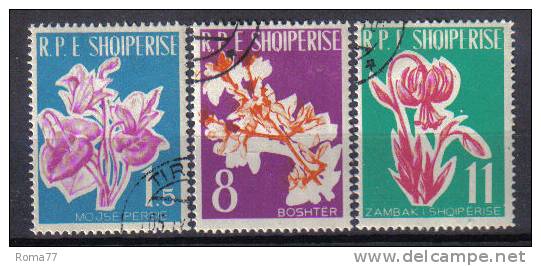 SS1128 - ALBANIA , Yvert  Serie N.  552/554 - Albania